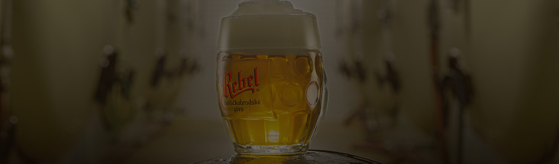 Úvodní obrázek podstránky