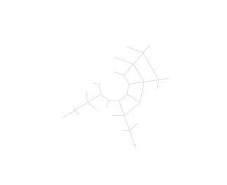 Senzorika РЕБЕЛ X