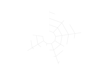 Senzorika chevron 12