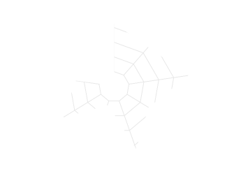 Senzorika ШЕВРОН 12